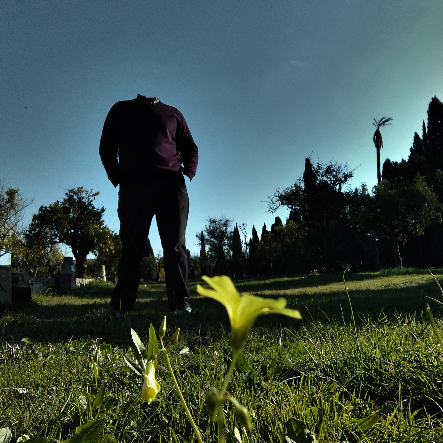 Como sombra asombrada por los jardines del CAAC - Serie Memoria, Asombro y Olvido de Mariano Luque. Enlace Youtube canal Mariano Luque. Museo CAAC.